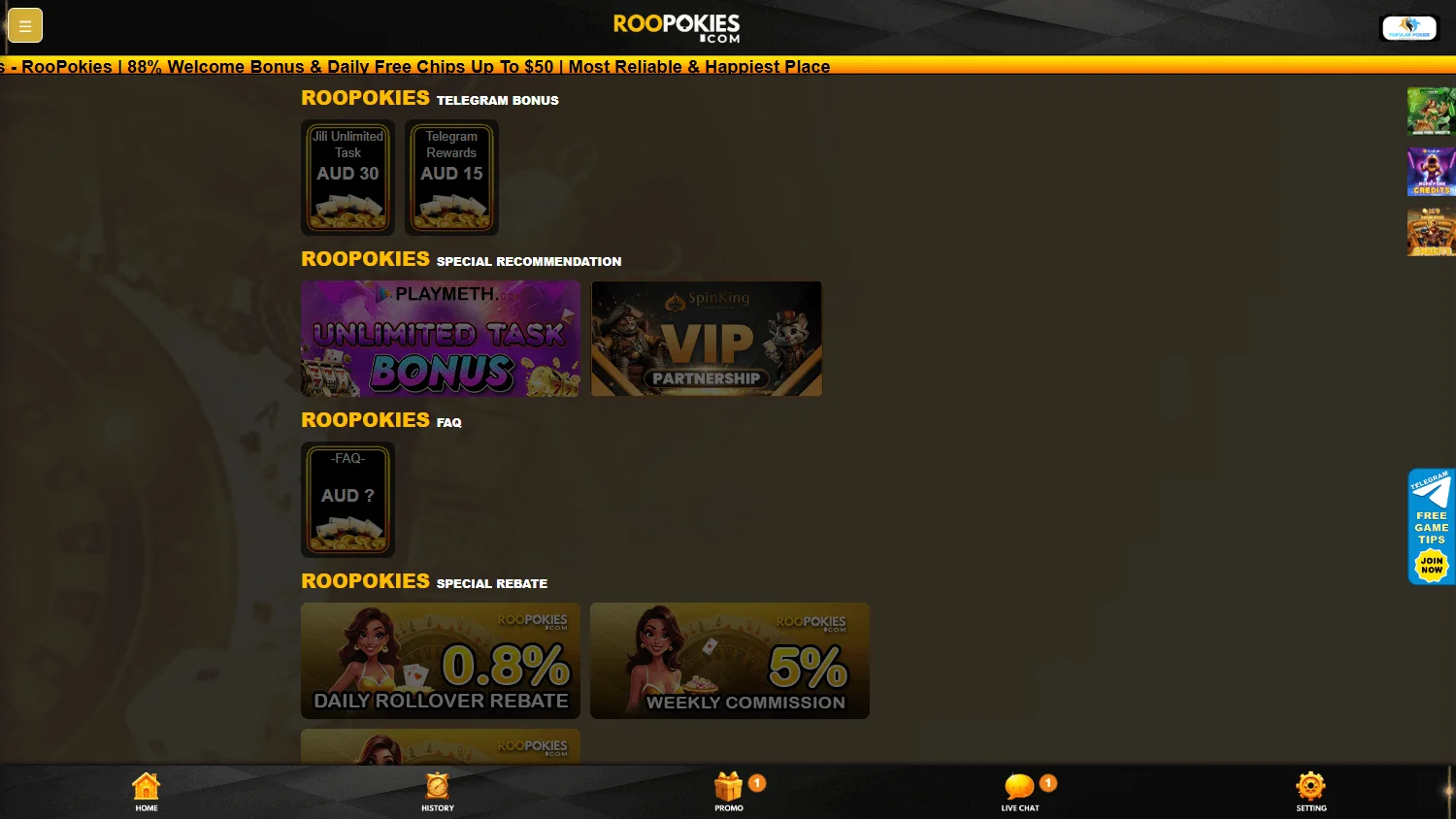Roopokies Casino desktop promotions area with casino offers
